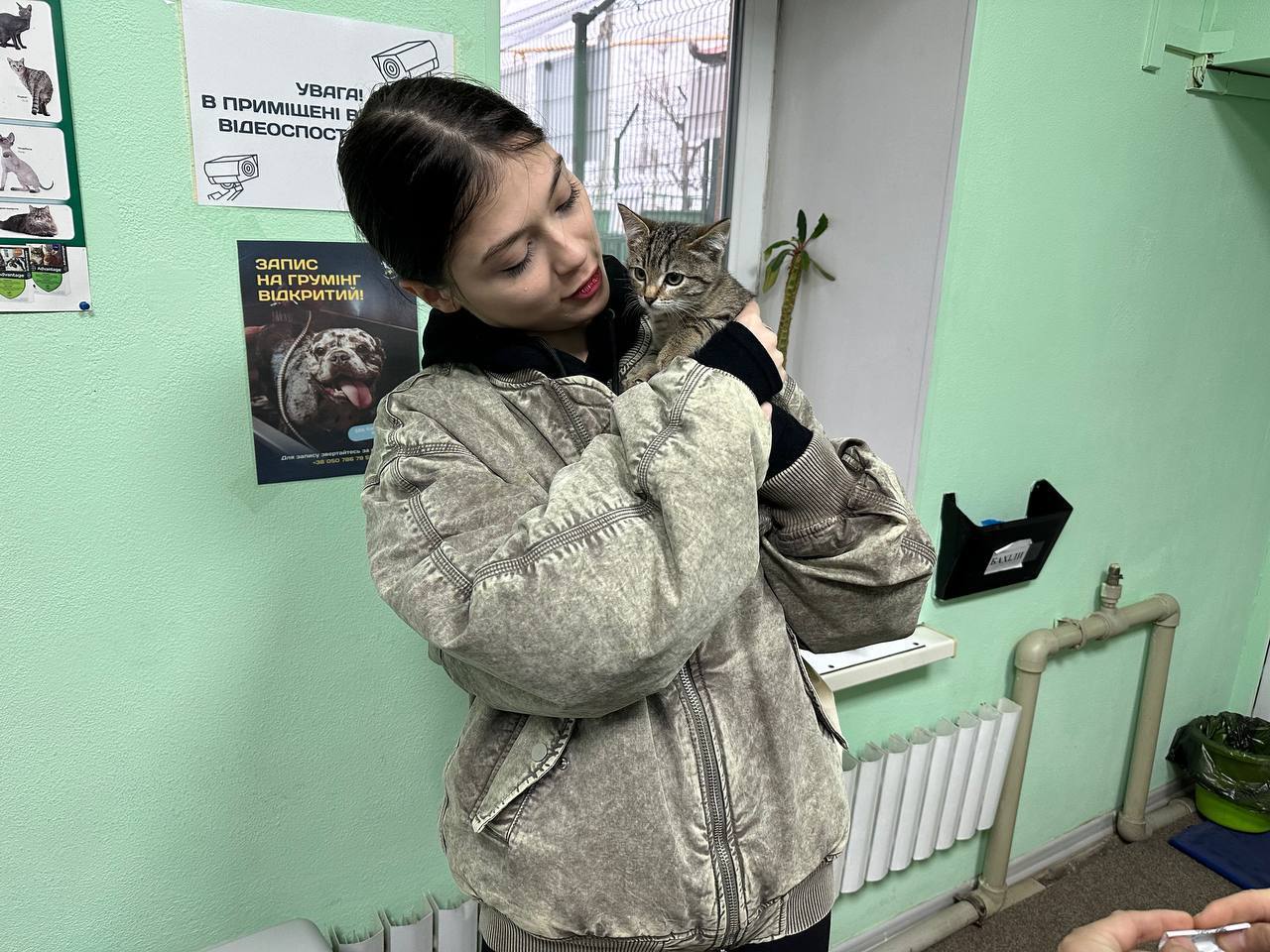 У Харкові 81 тварина знайшла нову родину завдяки волонтерам та працівникам притулку